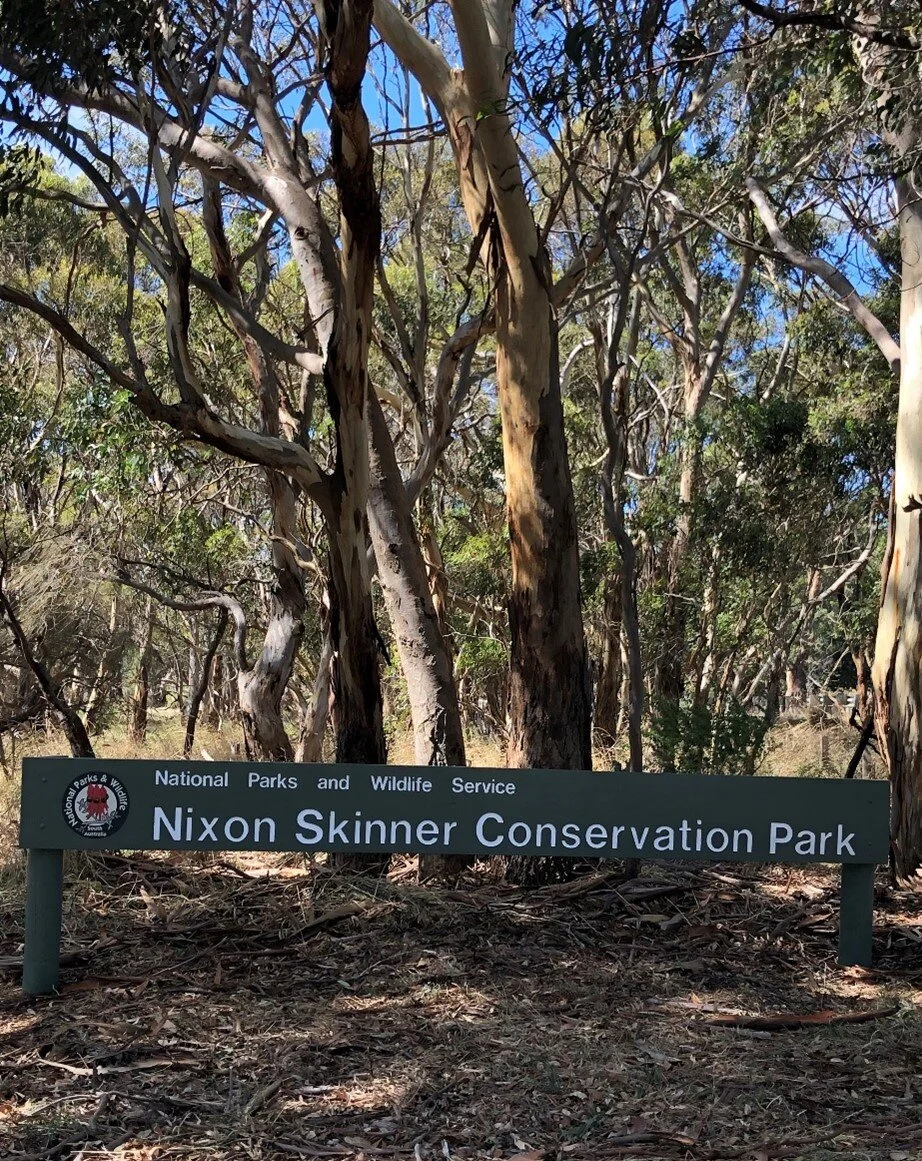 Nixon Skinner.jpg