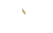 Colt Capital