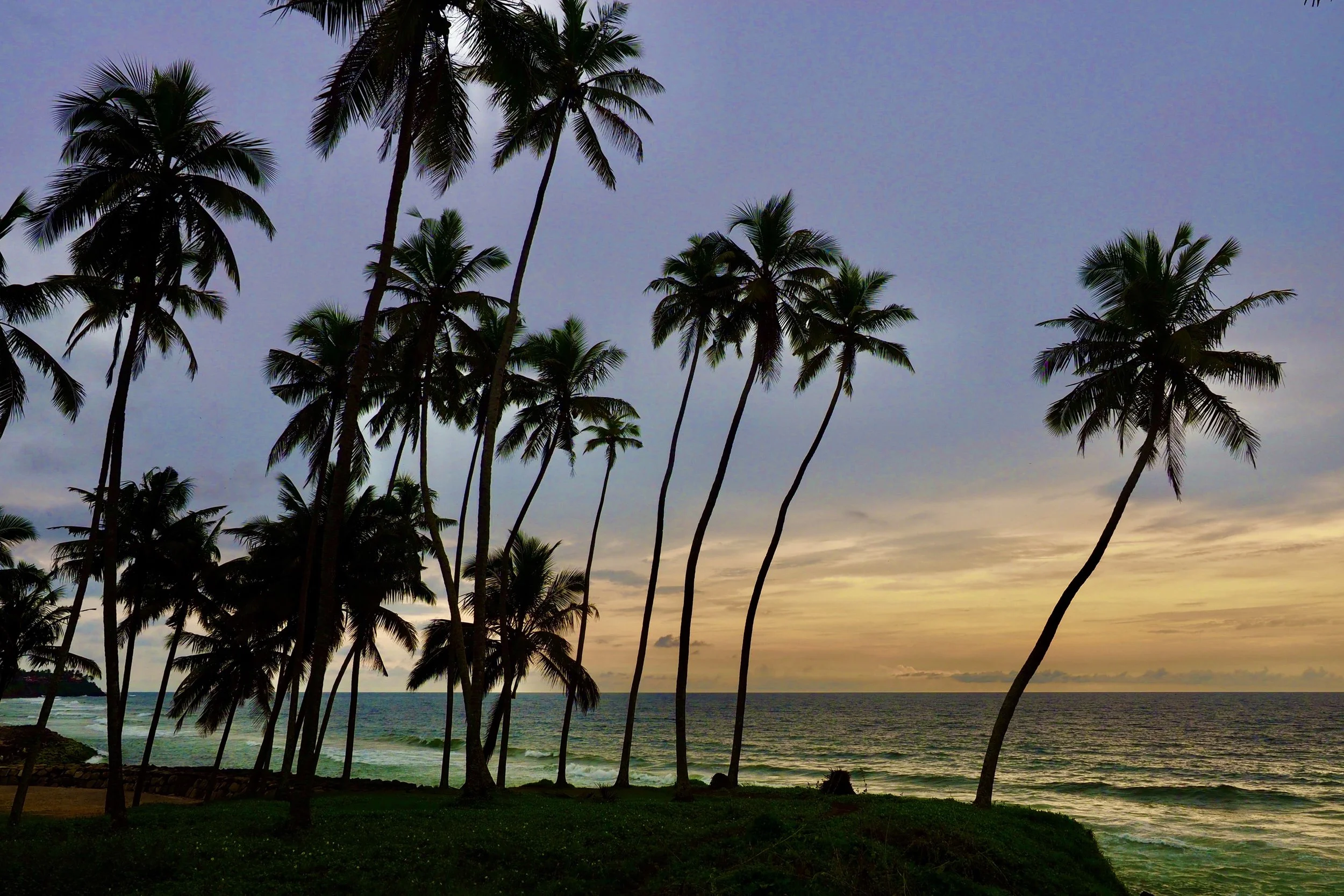 Our Human World #1: Problems and Solutions