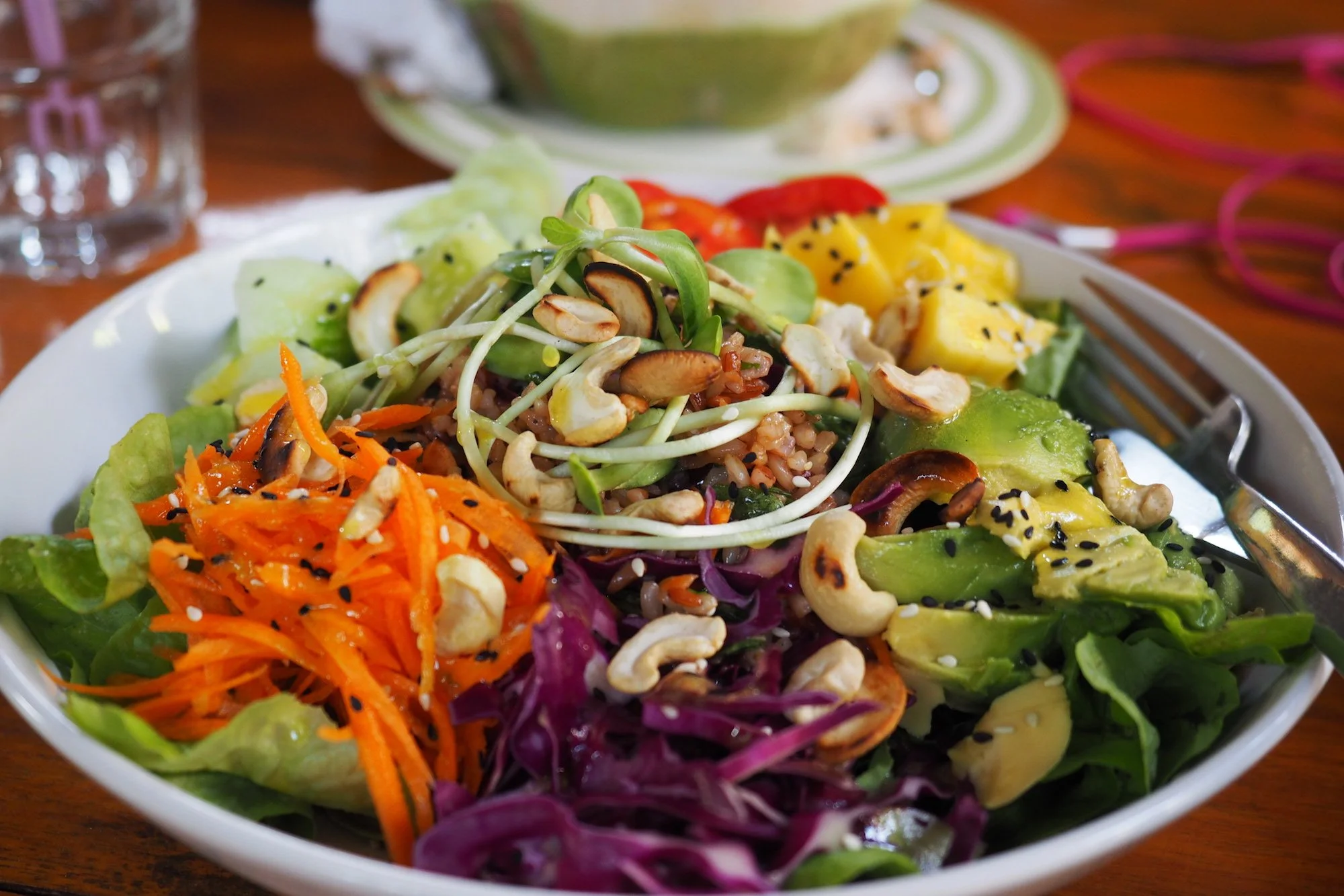 Letter #6: Diet Discernment and Determination