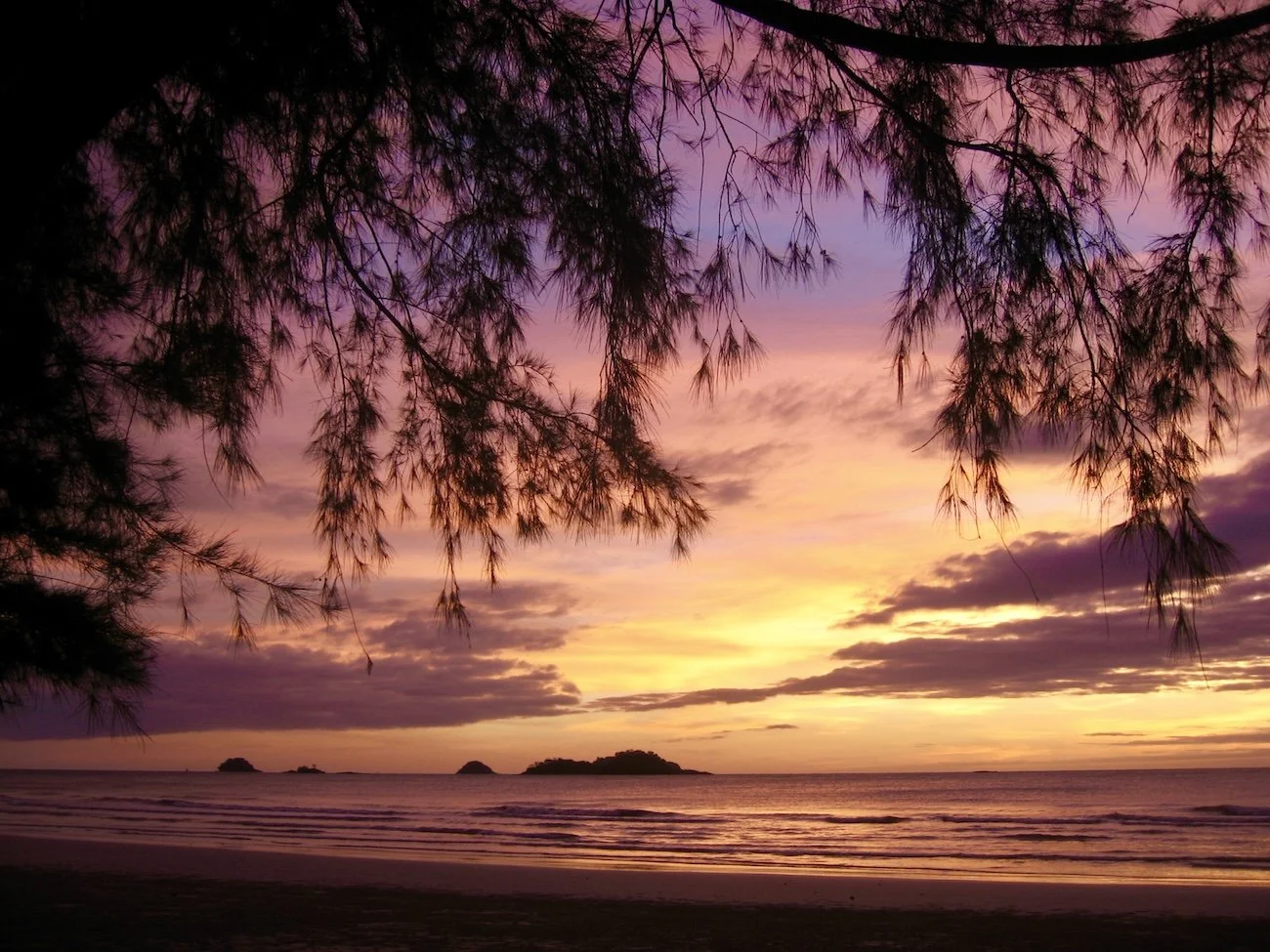 Letter #18: Beauty and Brutality