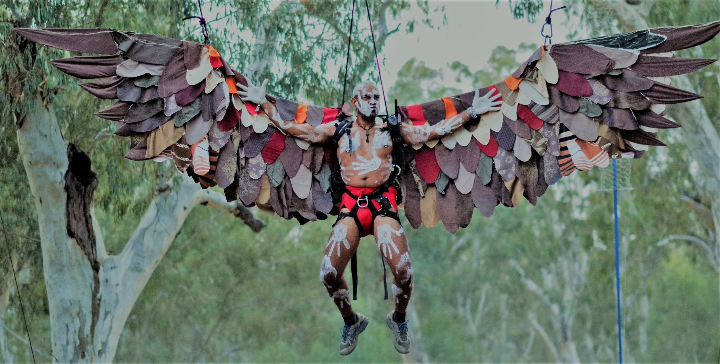 16 - bEagle Dreaming 1.jpg