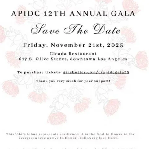 APIDC 12th Annual Gala