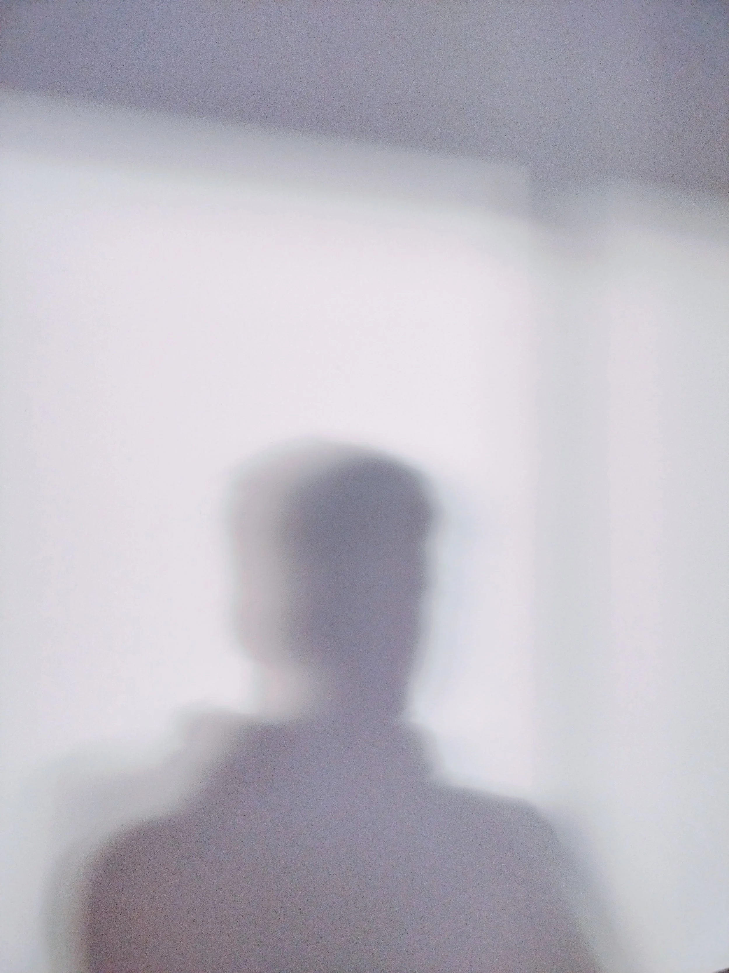 Blurred Boundaries: The Shadow Self