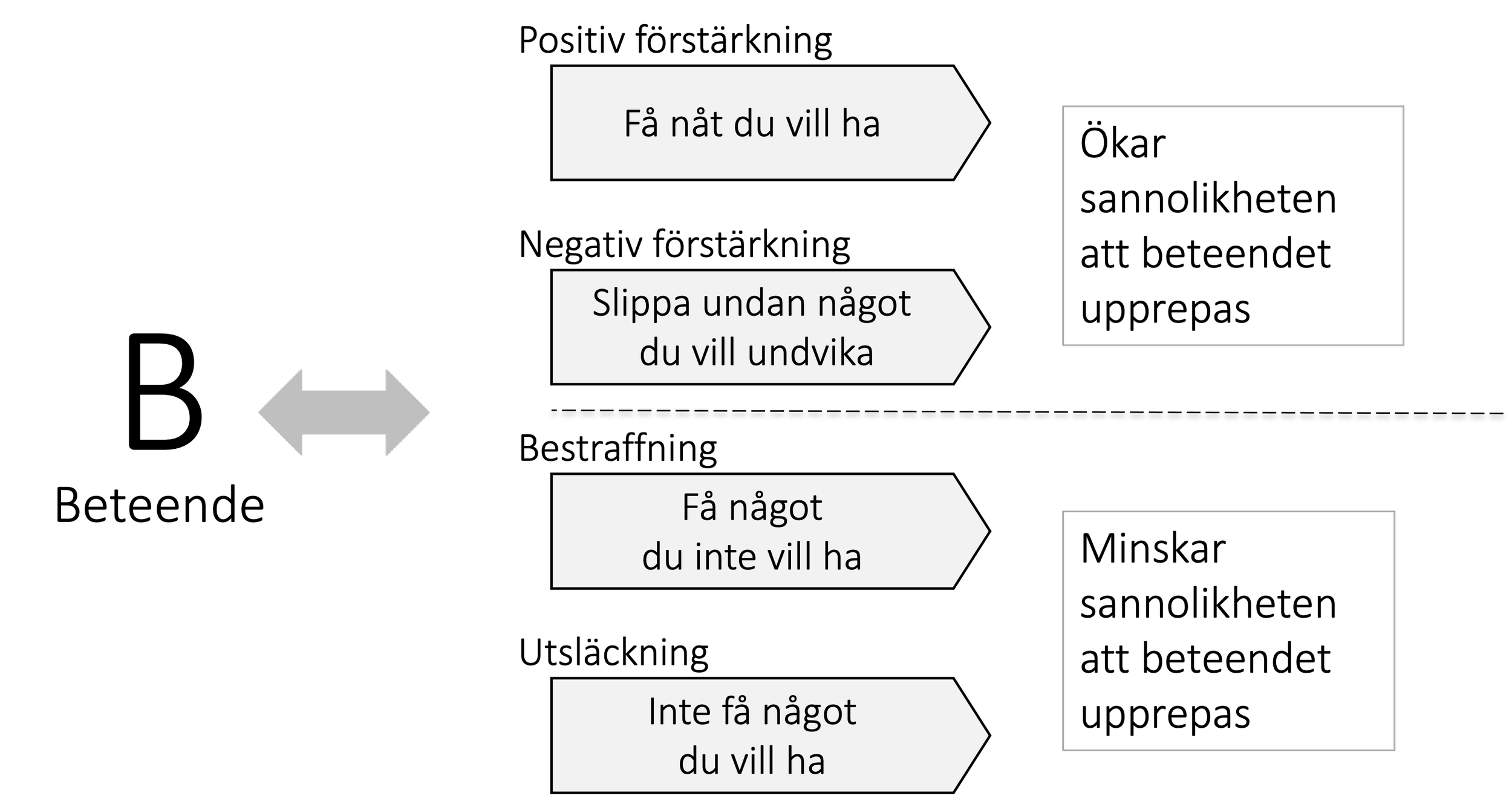 Konsekvenser i inlärningspsykologisk mening