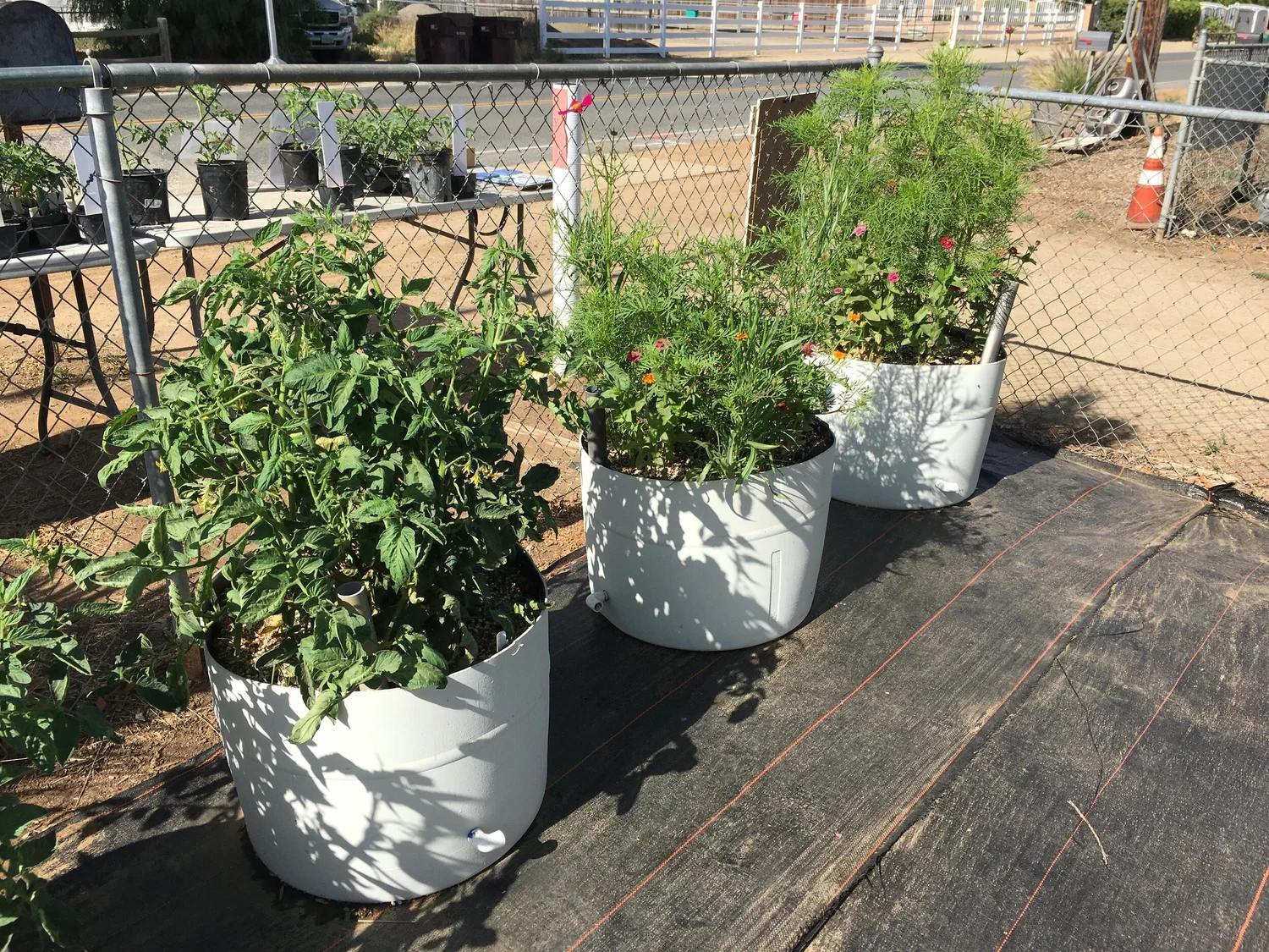 Wicking Tubs — FARM ON 7TH