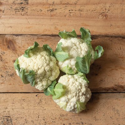 CAULIFLOWER, WHITE - TWISTER: The big, heavy, well-domed heads have large wrapper leaves that protect them from the sun, resulting in excellent color and head quality. 