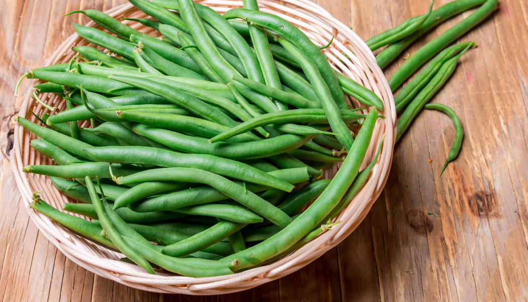 BEAN, POLE - KENTUCKY WONDER: This homesteaders' heirloom has been around since 1864, originally under the name of Texas Pole. The bean pods grow to about 8 to 9 inches long and are deep green with brown seeds. When harvested before reaching full mat
