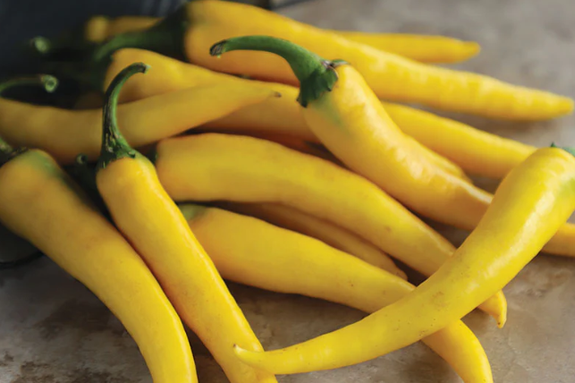 PEPPER - CAYENNE, GOLDEN: Compact plants produce an abundance of slender golden peppers that reach 3-1/2 to 4 inches long. Well suited for containers. Fruit matures from green to golden yellow, and increases in heat as they ripen. Excellent for cooki