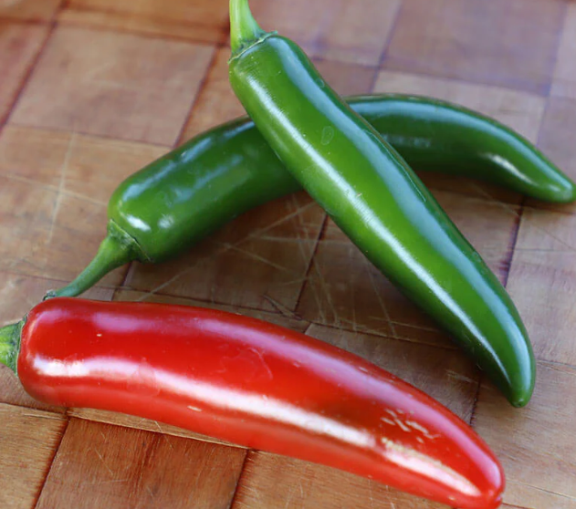 PEPPER - SERRANO, TRAPIO: Vigorous plants set strong yields of this large, high quality serrano. Fruit have thick walls, good pungency, and excellent shelf-life. Plants are well-adapted to different growing environments.
