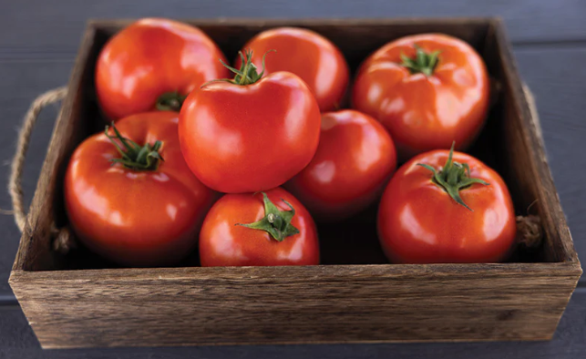 TOMATO – RAMBLER: Extra-large deep oblate fruit are smooth, firm, and dark red, excellent quality for both vine ripe and mature green markets. The adaptable determinate plants have good setting ability and size across different planting slots and per