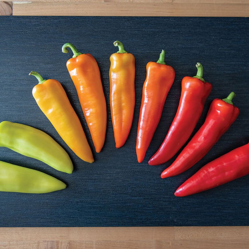 PEPPER - BANANA (HOT), HUNGARIAN YELLOW WAX: Cylindrical fruit are 6 to 8 inches long by 1-1/2 to 2". Matures from pale yellow to orange red, and finally, to a vibrant red. Excellent for frying, roasting, or pickling. 