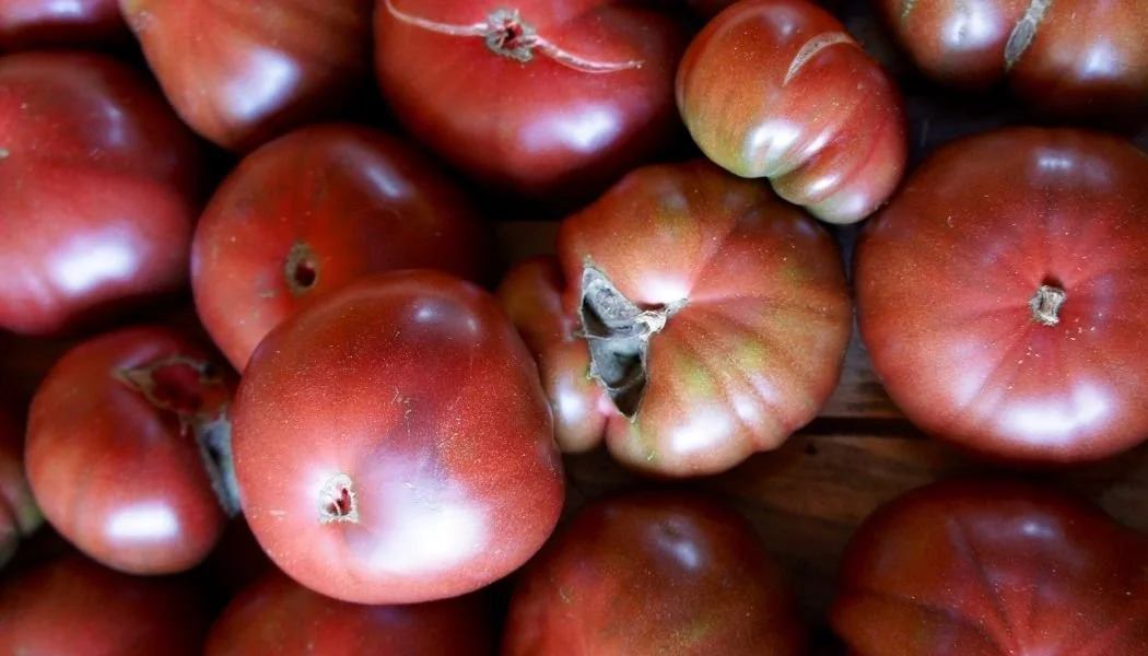 TOMATO - CHEROKEE PURPLE: Unusual variety with full flavor. Famously rich flavor and texture make this a colorful favorite among heirloom enthusiasts. Medium-large, flattened globe, 8 to 12 ounce fruits. Color is dusky pink with dark shoulders. Relat