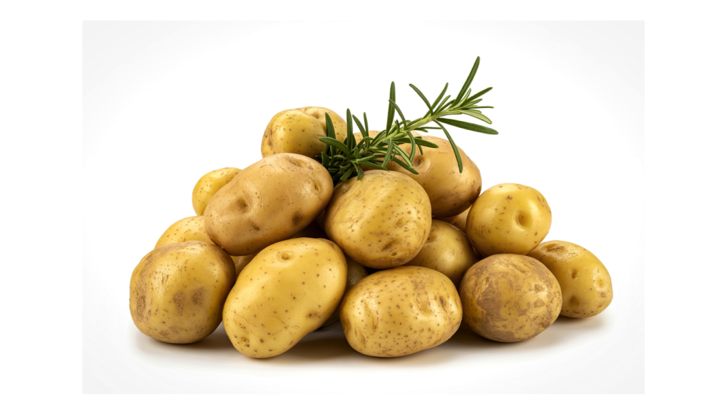 **OUT FOR SEASON** NEW FOR 2026! POTATO, YUKON GOLD: Purchase seed potatoes, plants in a 4” pot or a complete potato growing kit!