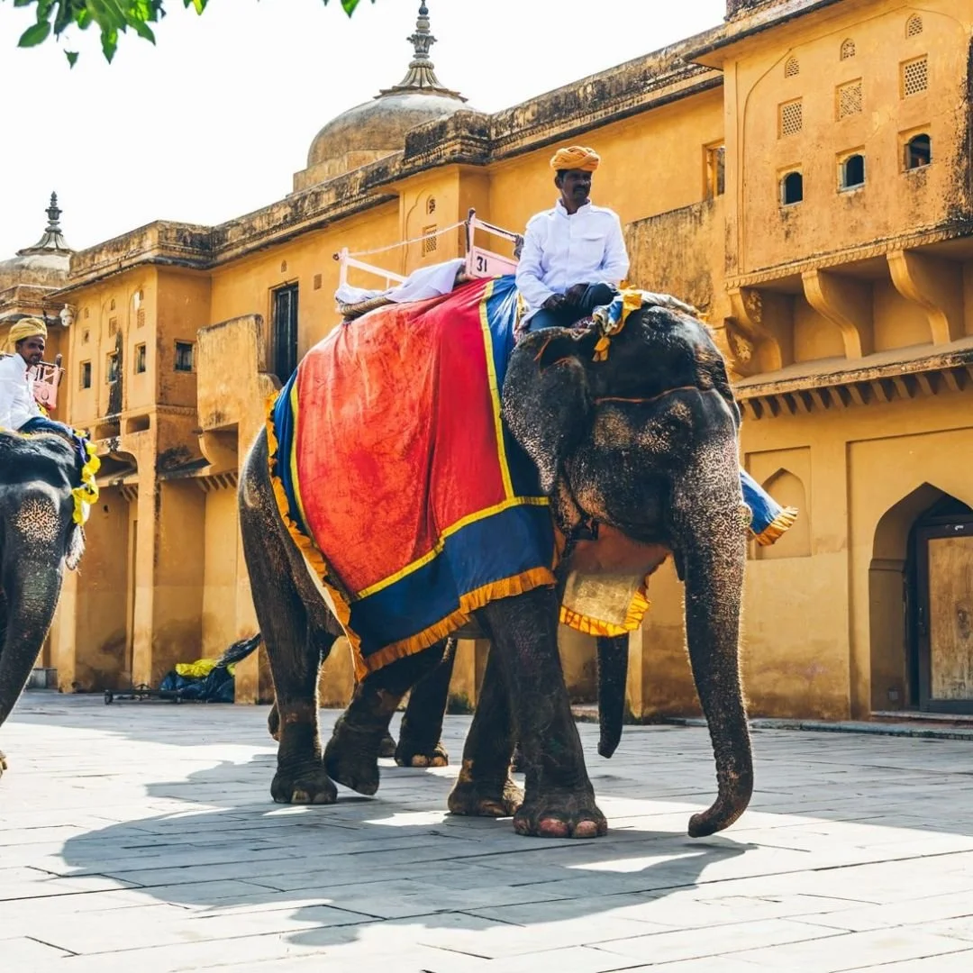 HollyDay Travel - India 7.jpg