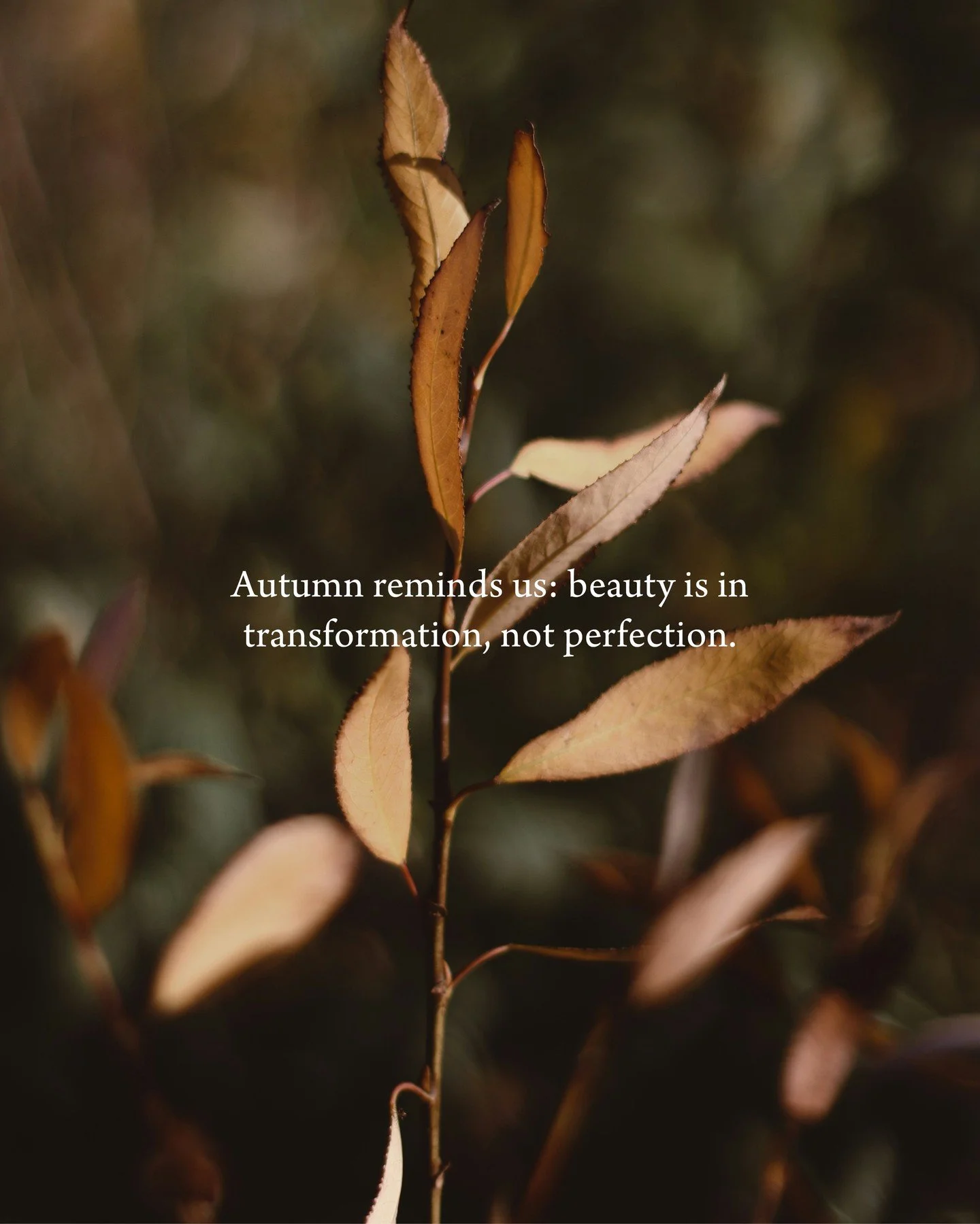 Autumn reminds us: beauty is in transformation, not perfection. Our leather pieces are designed to age gracefully, revealing character, warmth, and stories with every touch. Experience the elegance of materials that grow more beautiful over time. #ma