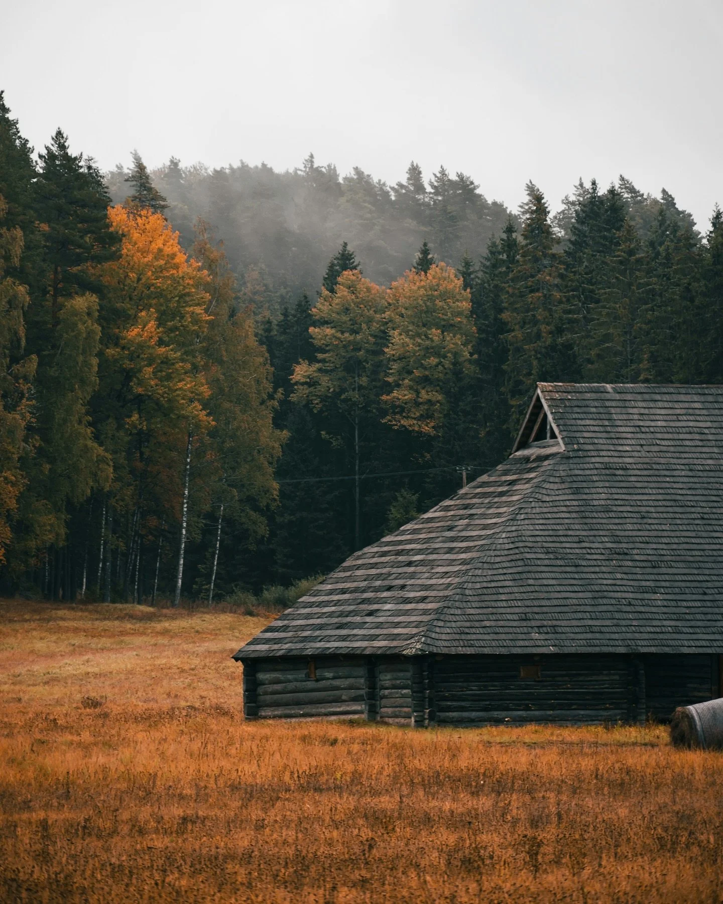 The air turns crisp, the light golden. Leaves rustle in shades of amber and rust and the scent of earth and wood lingers a little longer. In this shift of seasons, we seek warmth…in touch, in texture, in the things we carry close. Our phone ca