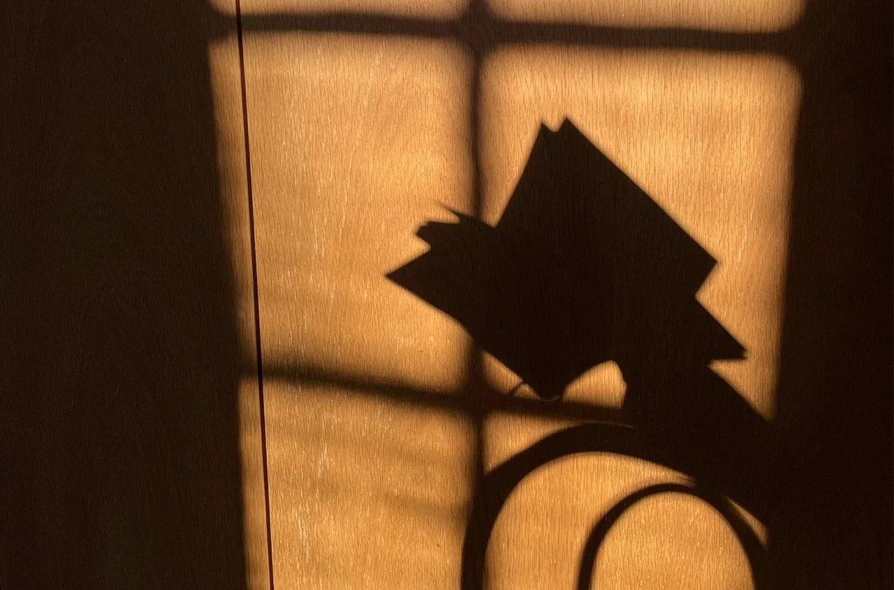 The Art of Noticing - Inspiration for January 