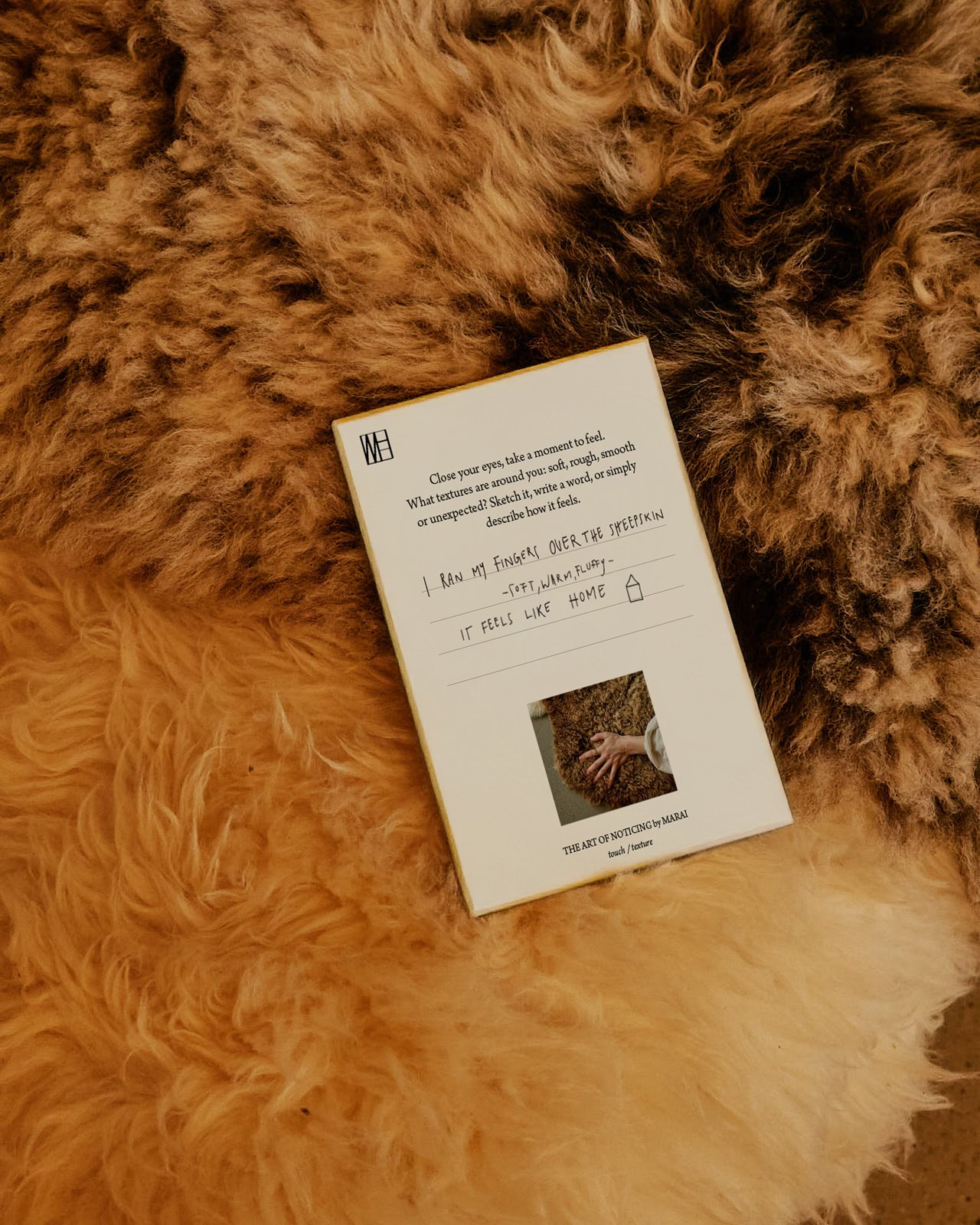 Sunday Invitation: A gentle practice in noticing through touch. ✨ What can you feel right now that makes you pause?

#maraicollections #theartofnoticing #swisssheepskin #sheepskinrug