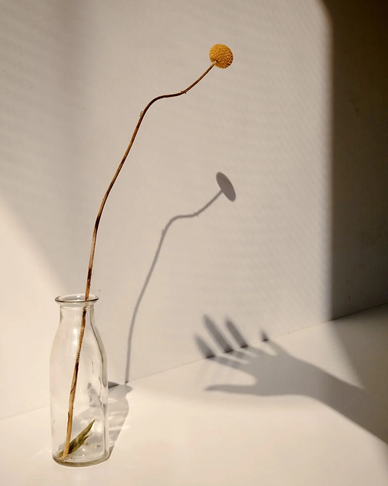 The Start of Spring.jpg