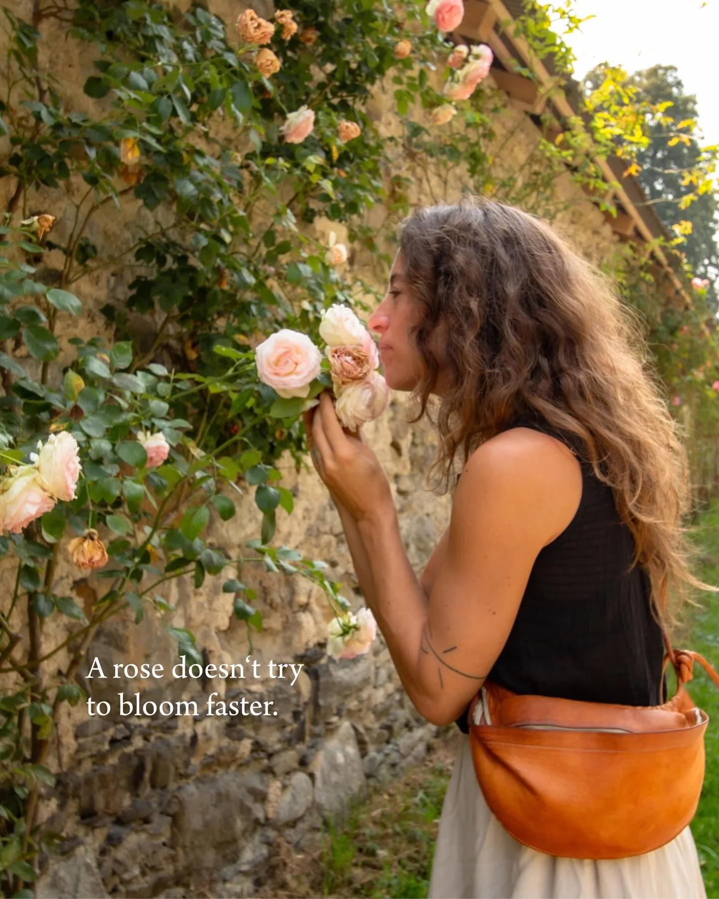 While I was sitting in the garden today, finishing a new journal entry on Healing Nature and what it means to me, I kept thinking back to last summer&rsquo;s rose images. There is something about nature that keeps bringing me back to the same truth a