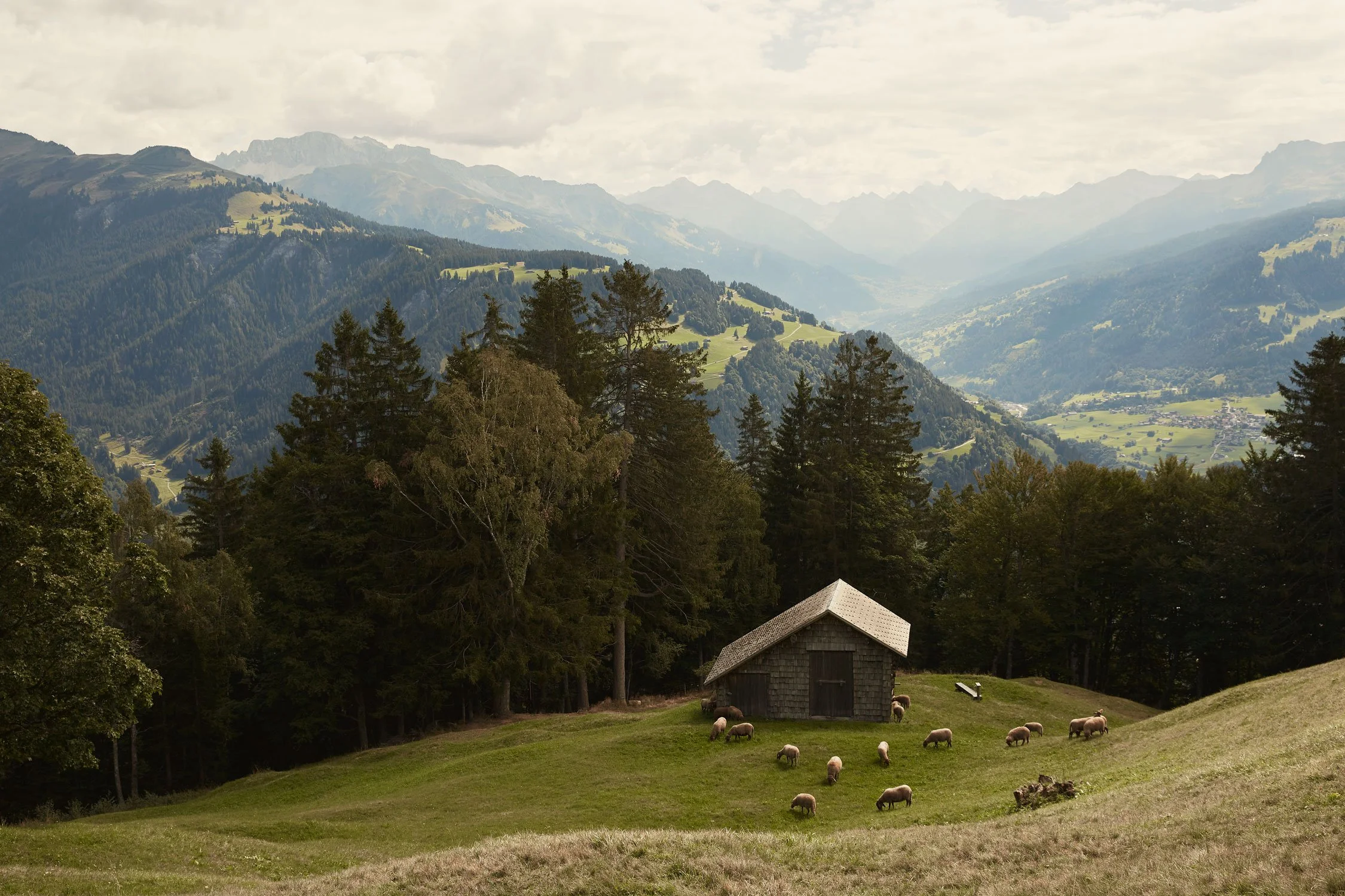 Swiss Sheepskins.jpg