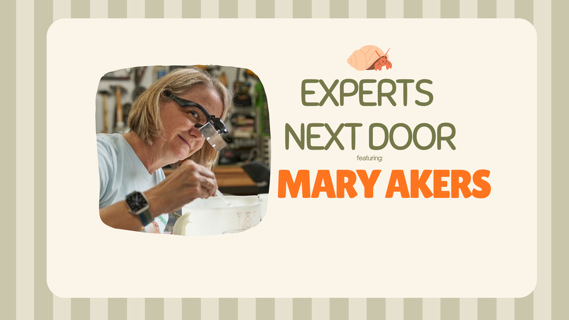 Experts Next Door: Hermit Crabs