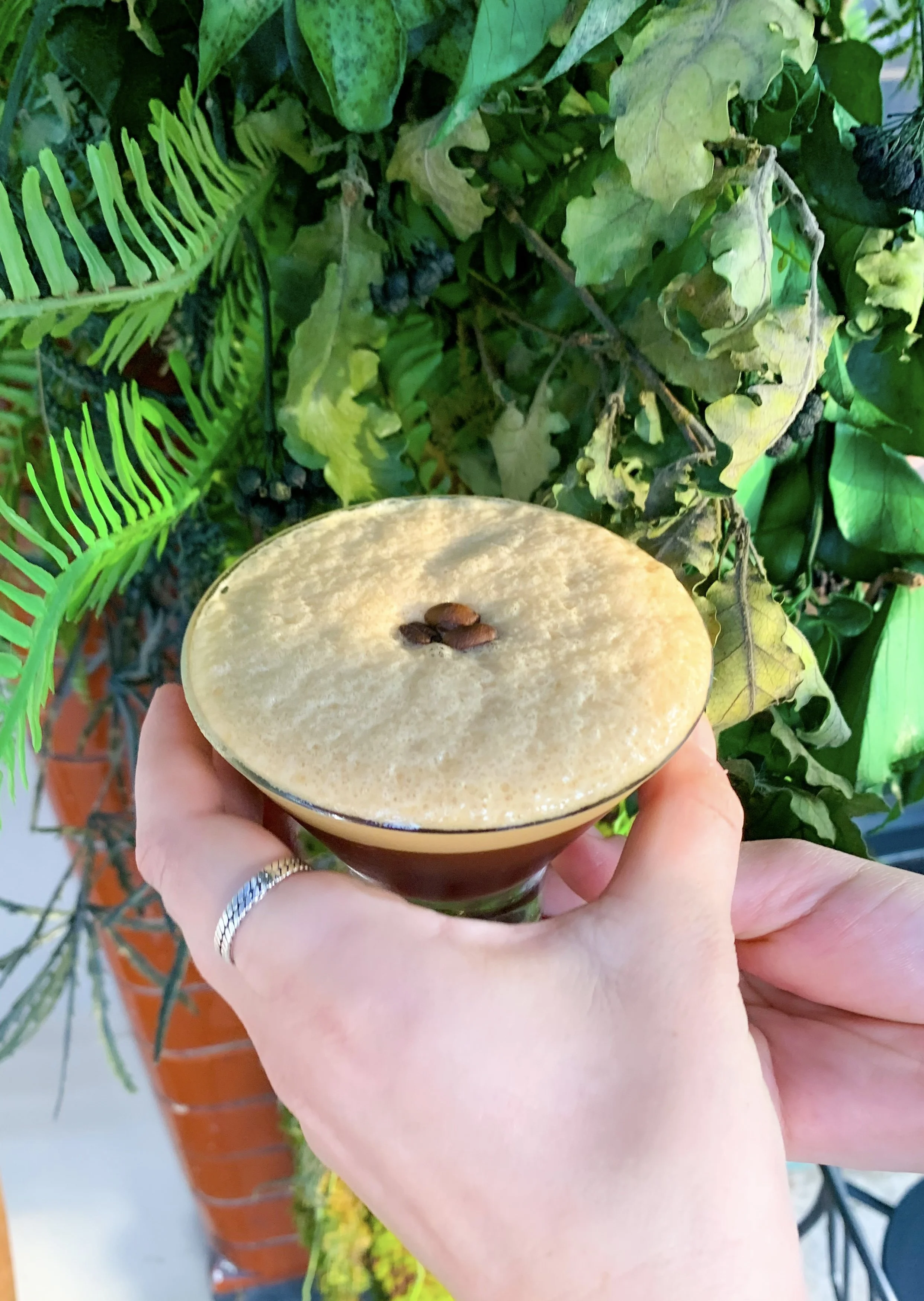 An Affogato cocktail served in a martini glass garnished with three coffee beans with a foliage backdrop in Brighton