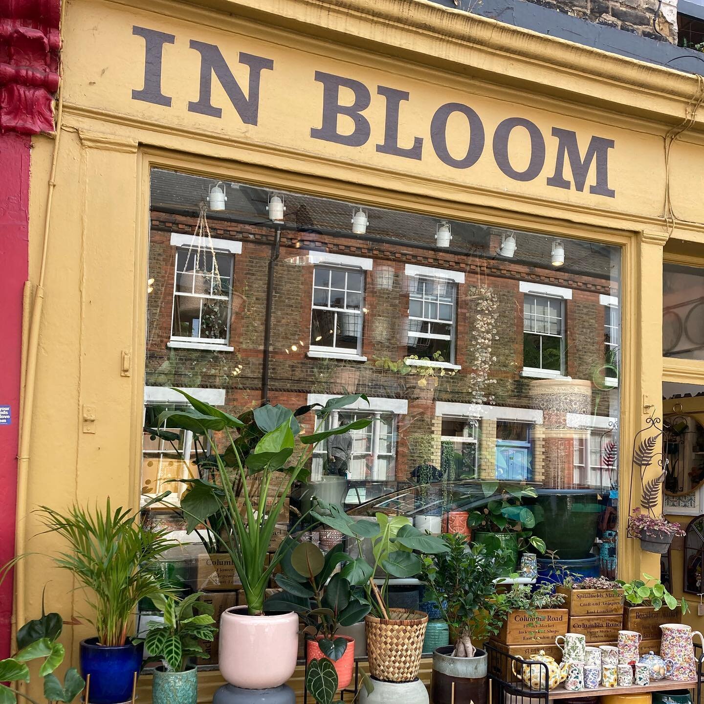 Trip to the big smoke this weekend to meet new clients and check on ongoing projects&hellip; also manger to find time to go to #columbiaroad  No flower market on a Friday but still fabulous independent shops. Love the displays @inbloom152 may have ev