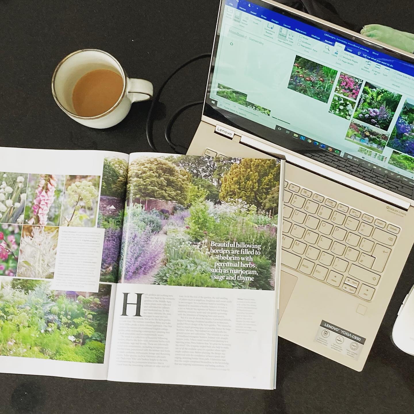Researching plants and creating mood boards for new clients! 

If you&rsquo;re unsure of what to do with your garden and are in need of some help, come down to De&rsquo;laniey&rsquo;s re-launch party in Oxton village this weekend - I&rsquo;ll be ther