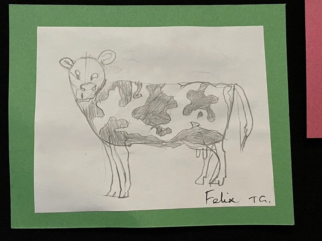 5862FDF2-C7CA-40BA-ACD0-87B601E169AF_1_105_c.jpeg