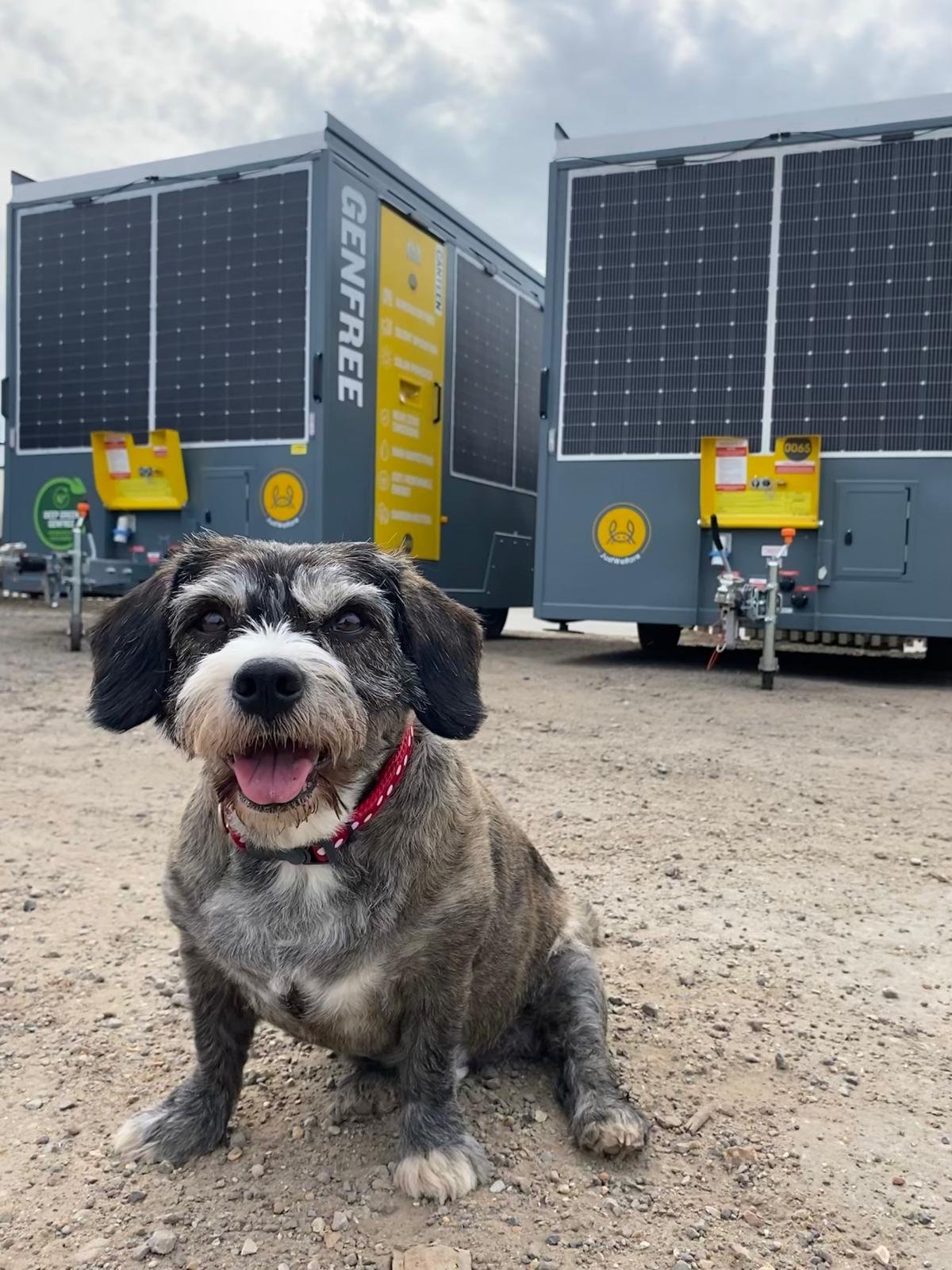 A happy dog sitting on dirt ground with solar-powered trash compactors in the background.