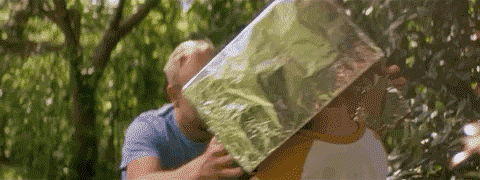 Rebel-Future---Egg---Brand-Film-1.gif