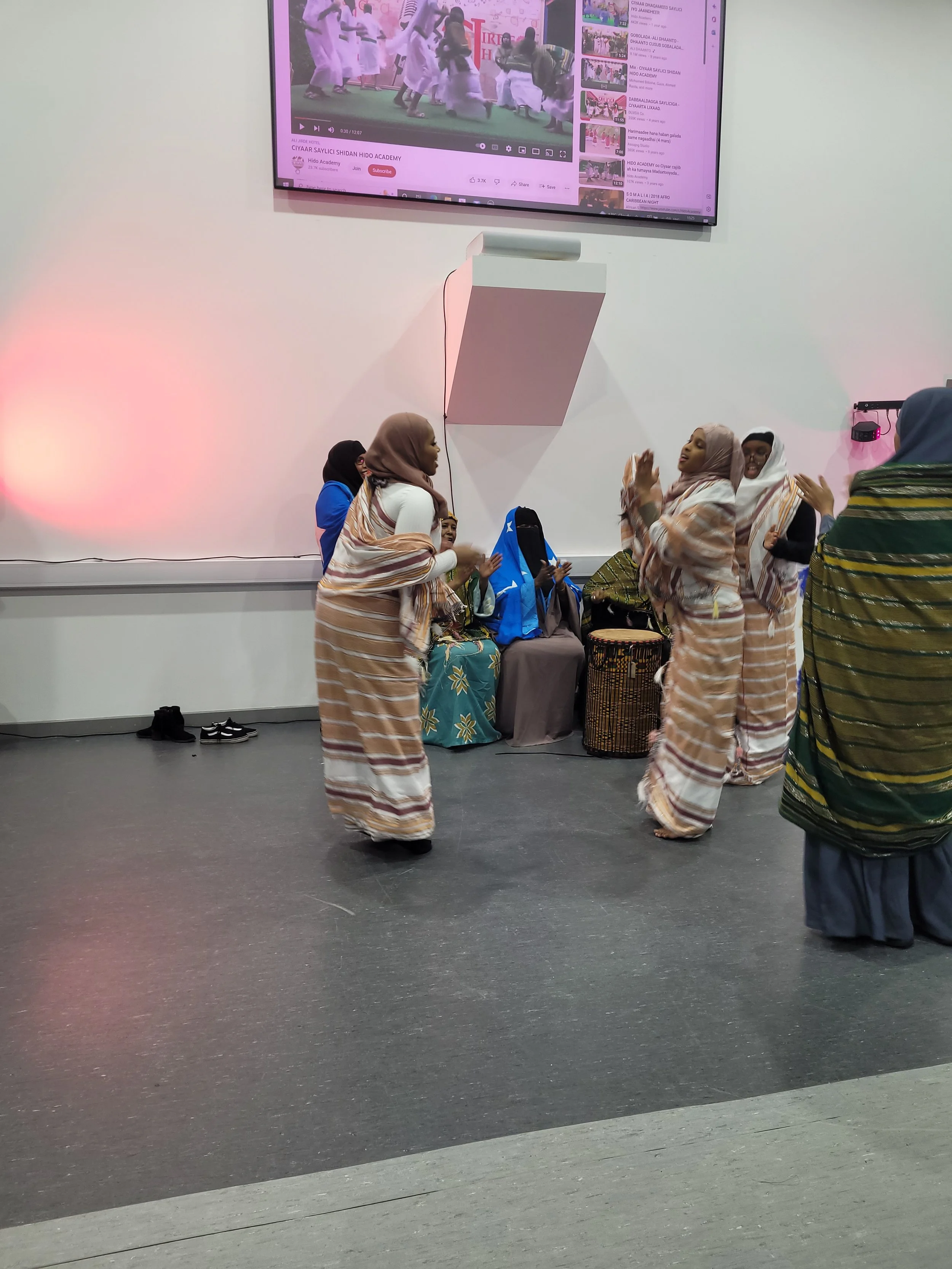 Somali Cultural Festival — SDS