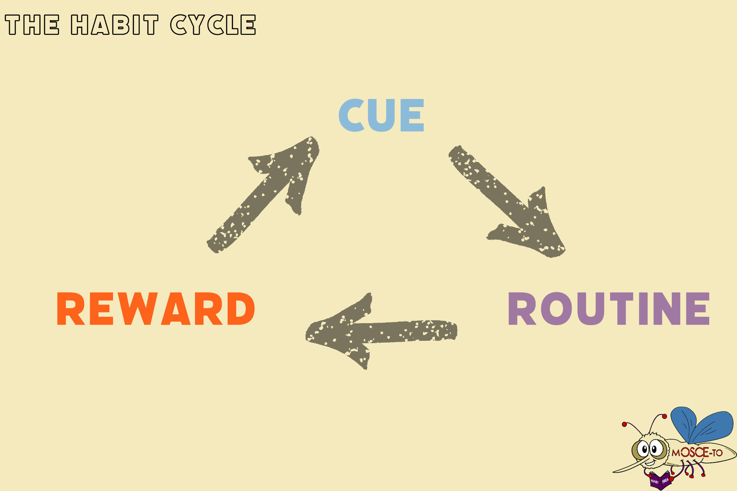 Cue – what triggers the habitRoutine – the habitReward – the craving that the habit satisfies