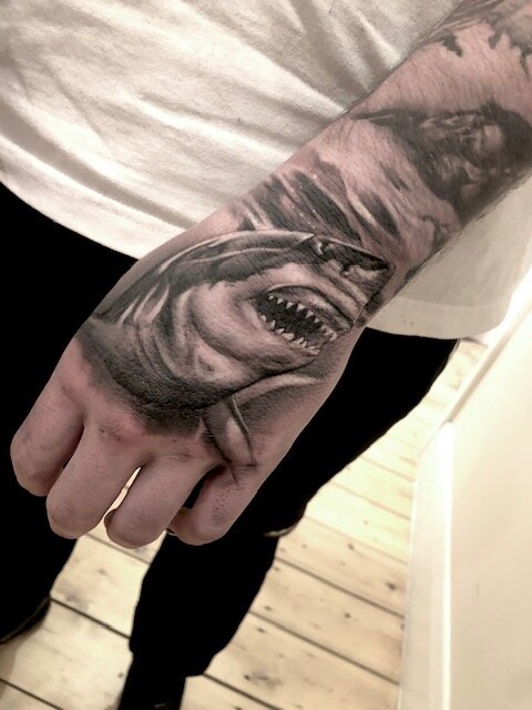 Tattoo uploaded by Tattoodo  donovanhdz handtattoo hammerhead shark  sealife  Tattoodo