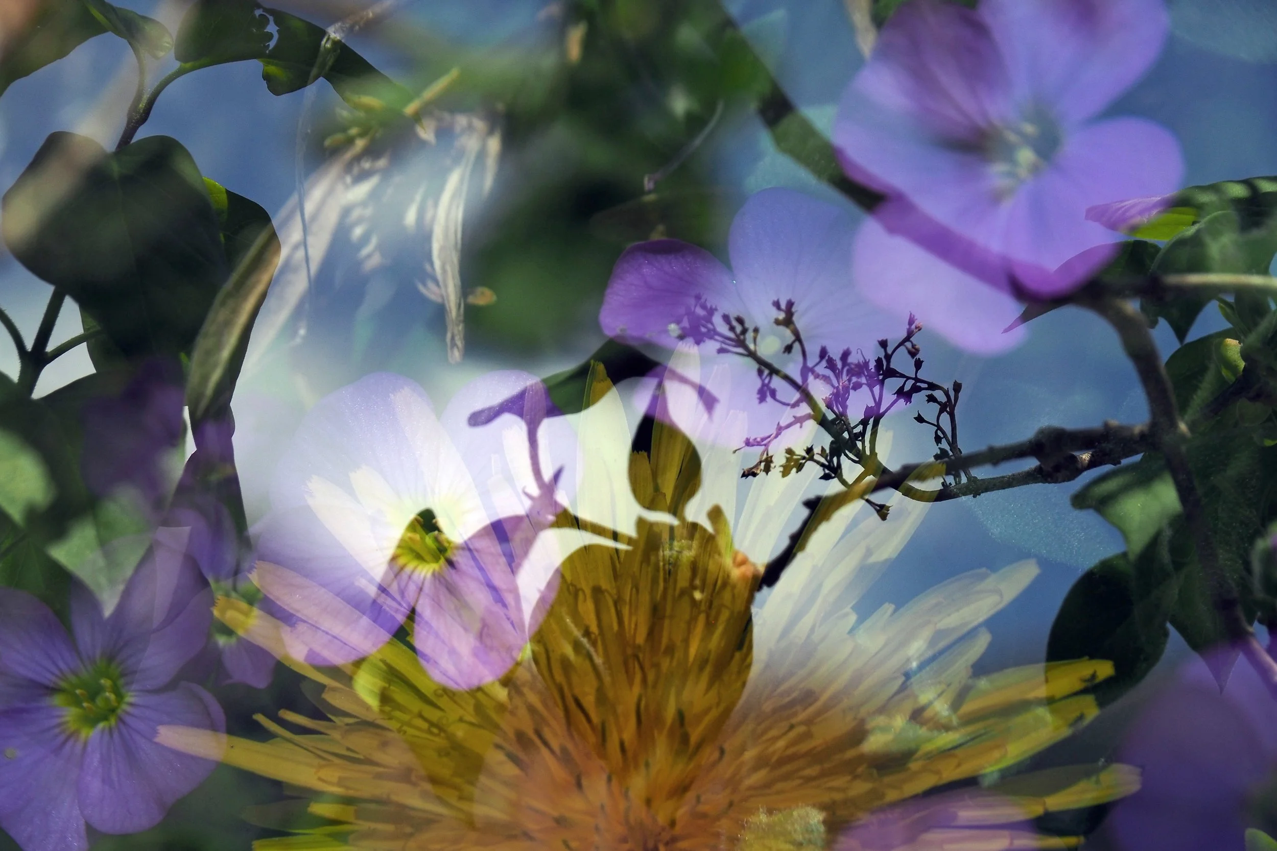 © Korinna Fröhlich