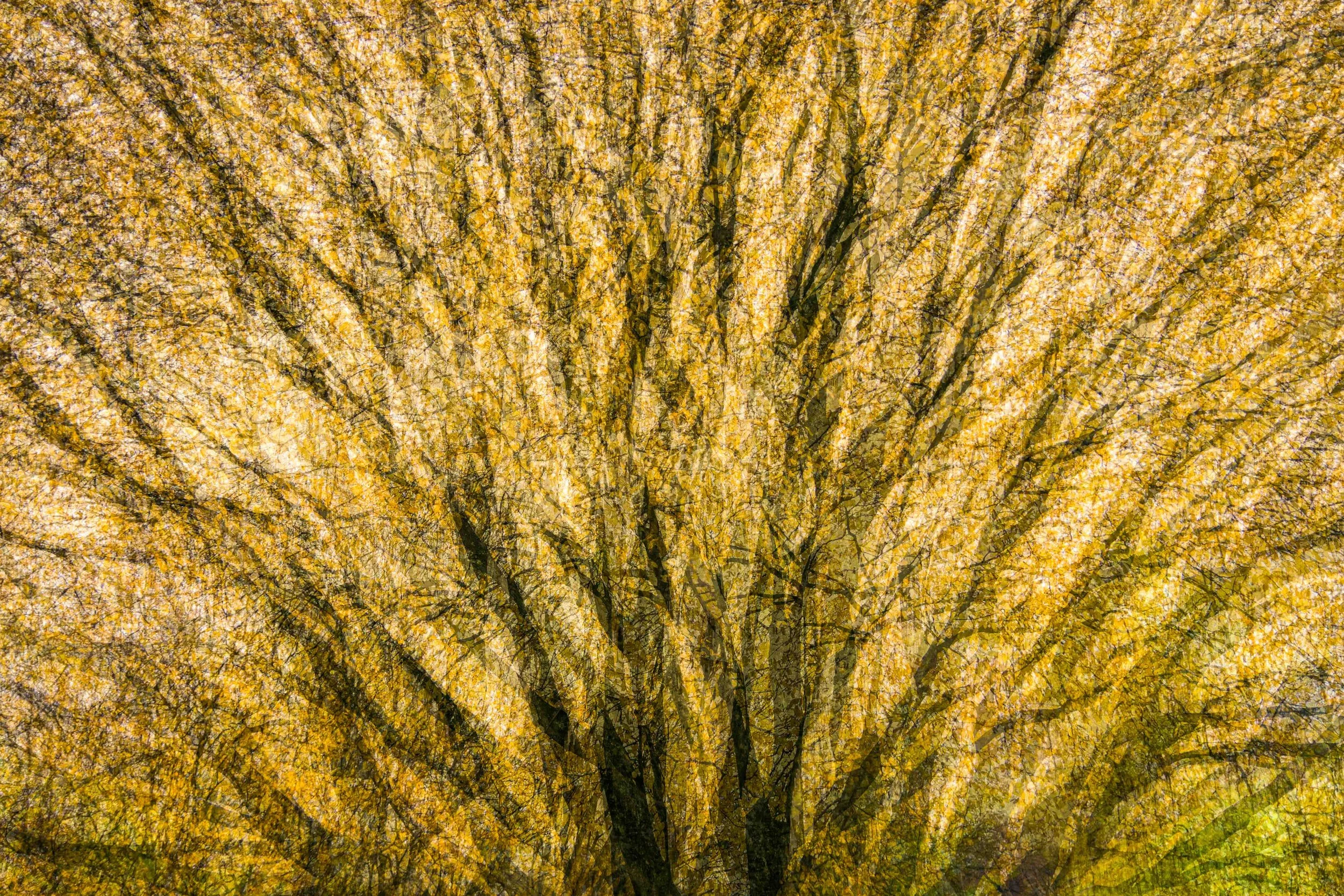 © Hermann Lichtsteiner