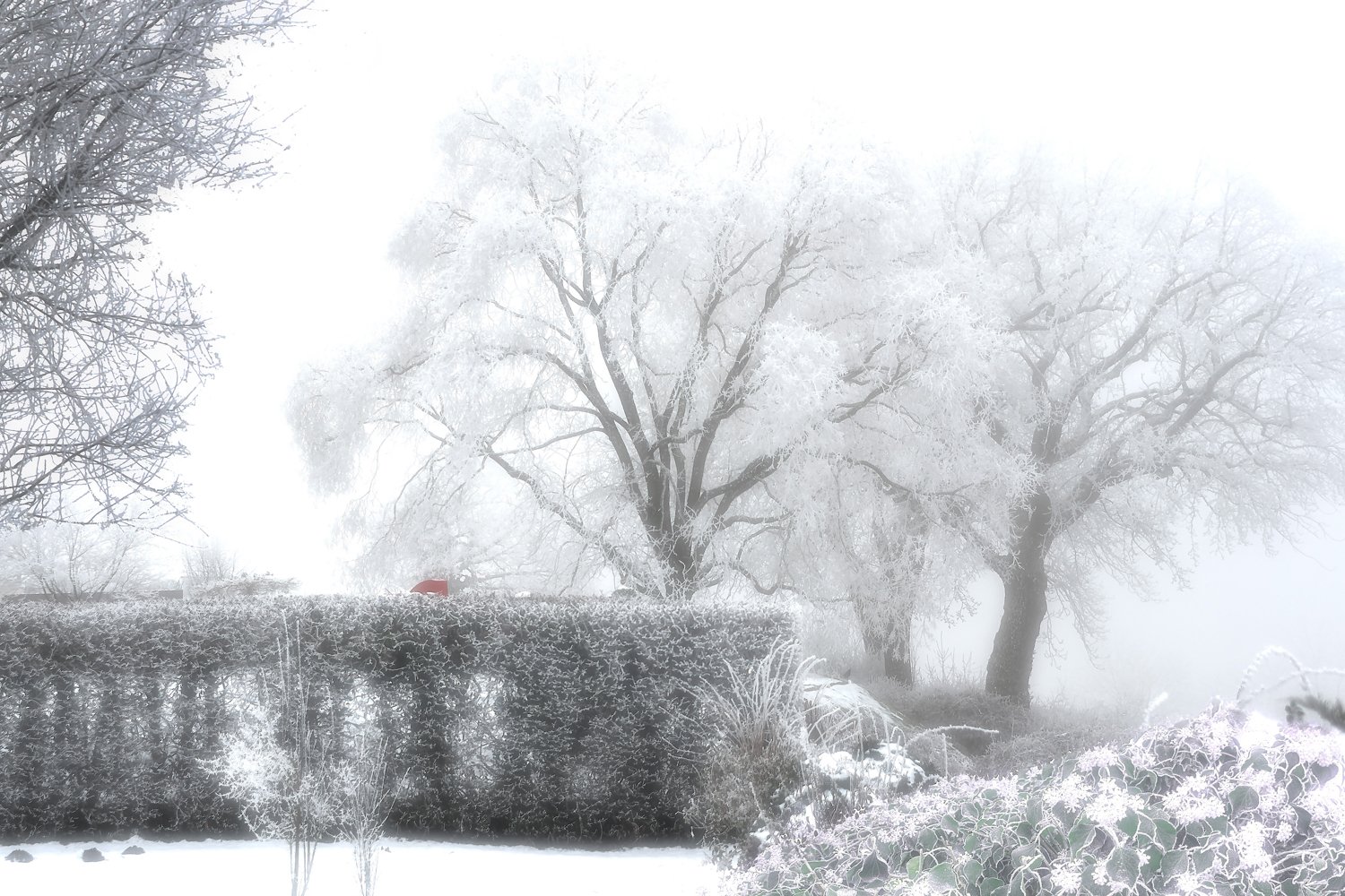 © Walter Waltisberg