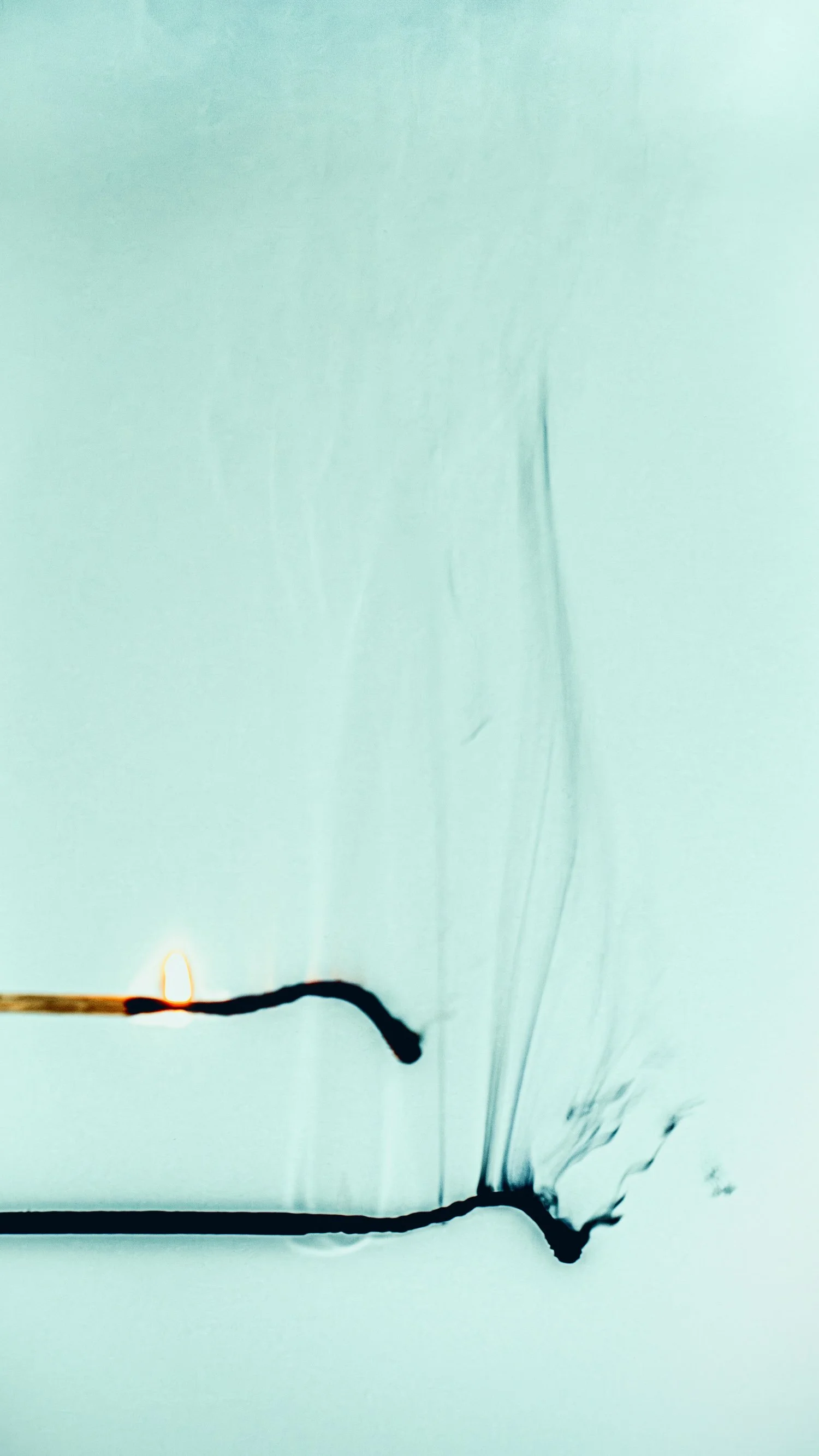 © Moritz Scheiwiller - 5. Rang