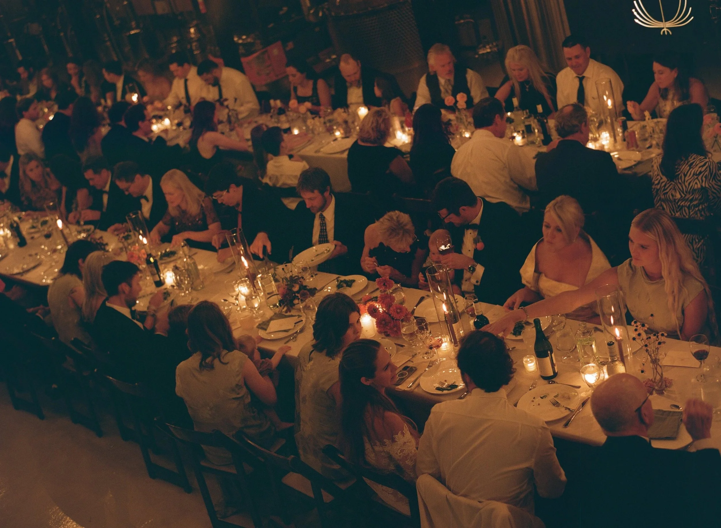 elopements &amp; weddings
