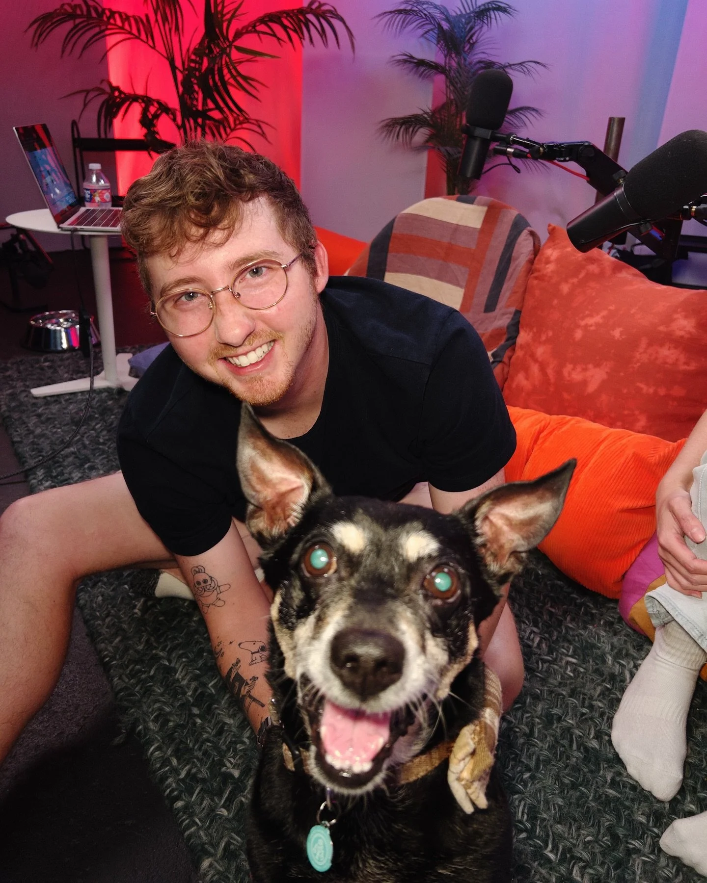 Meet Rudy πΎ professional good boy, part-time snack inspector. His adoption contract must include unlimited treats—no treats, no deal! | new ep of @thedogsweregoodagain out now π¦΄