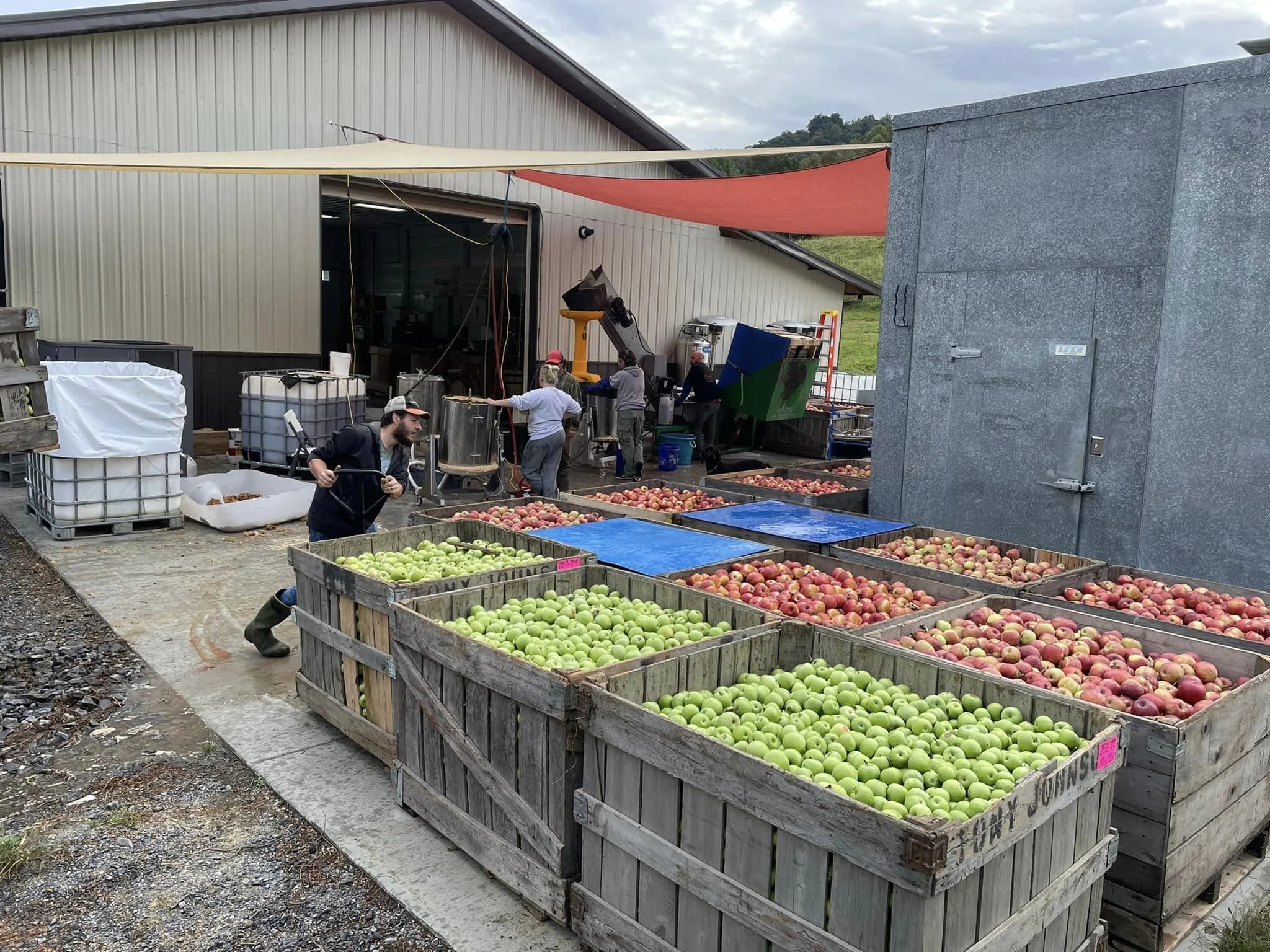 Why We Grow the Apples We Do