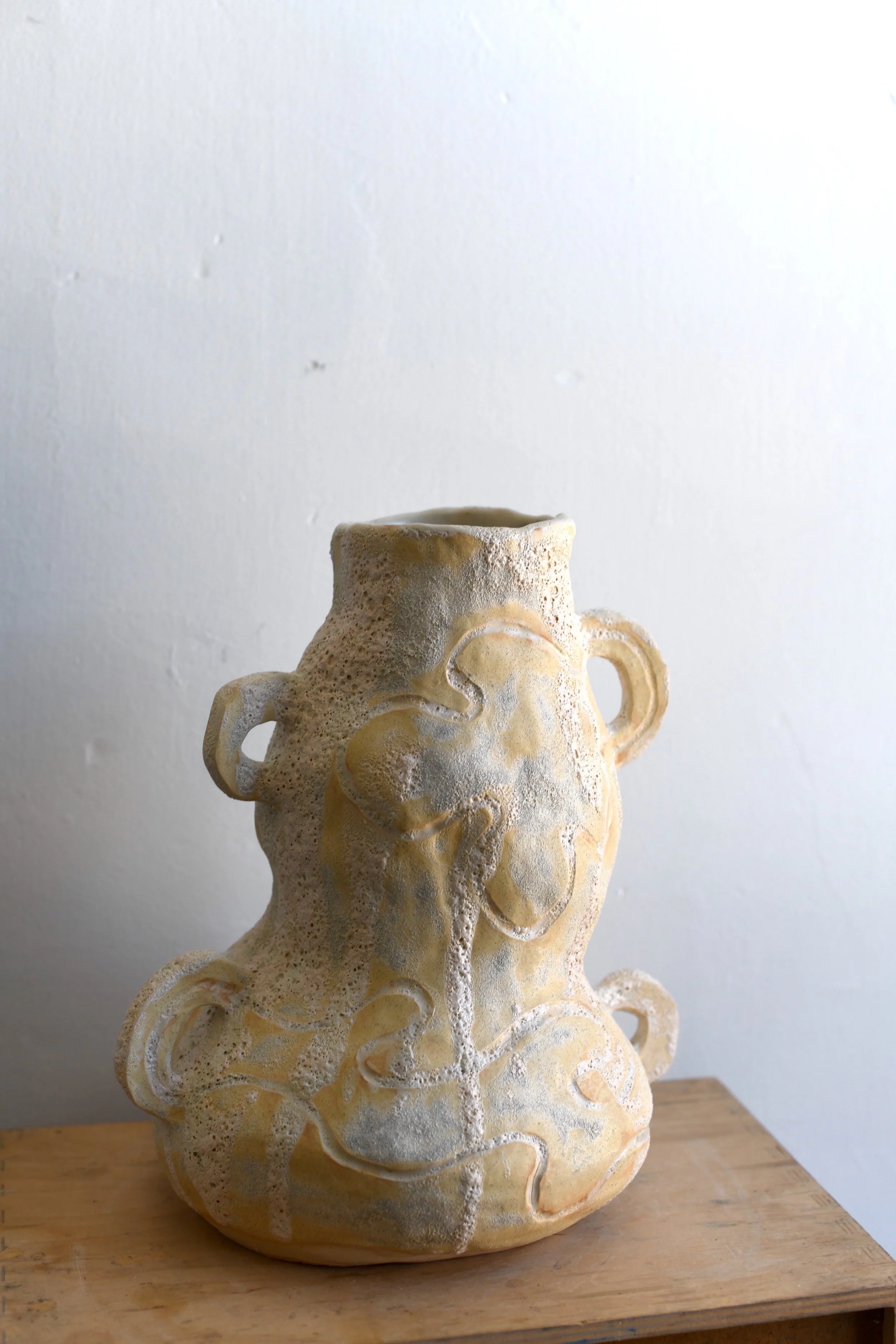 Eavesdropping Vase v2.JPG