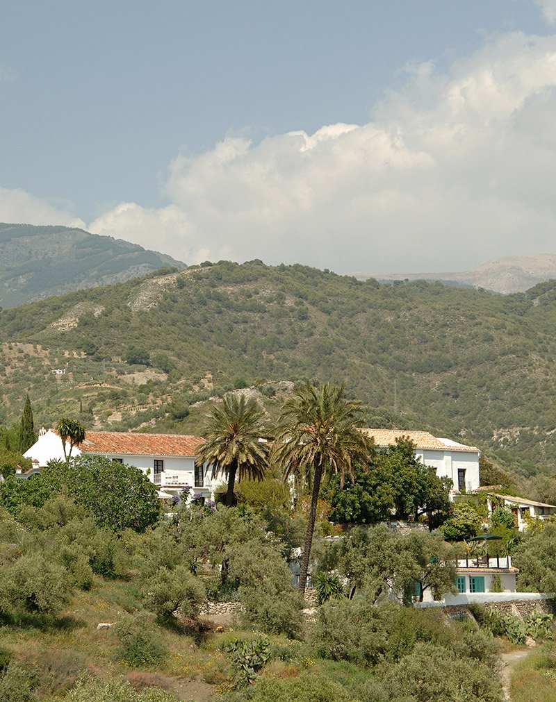 photo_6_extended.jpg