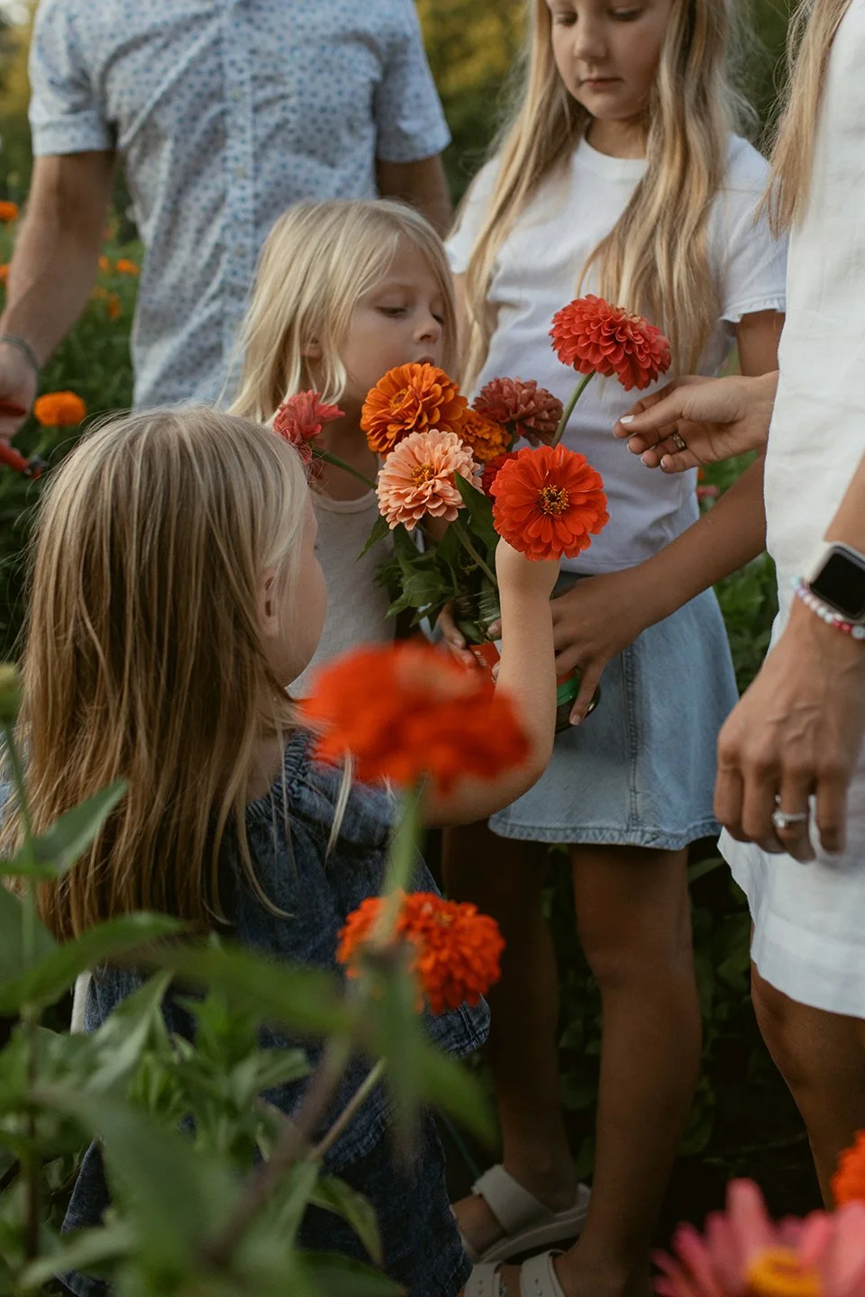 family-photos-at-flower-farm-in-cedar-rapids.jpg