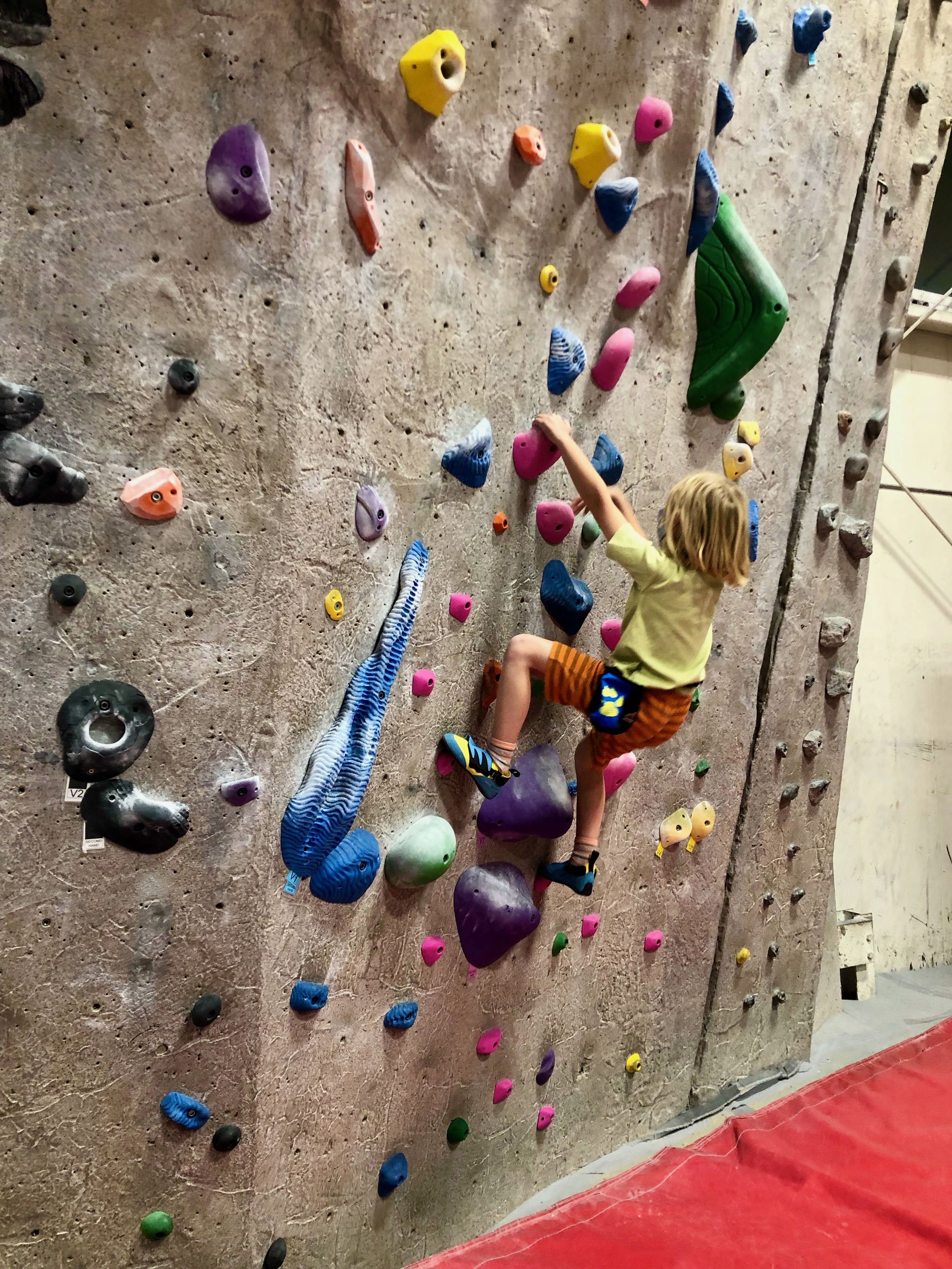 Climbing Team — MetroRock Newburyport Rock Climbing Gym