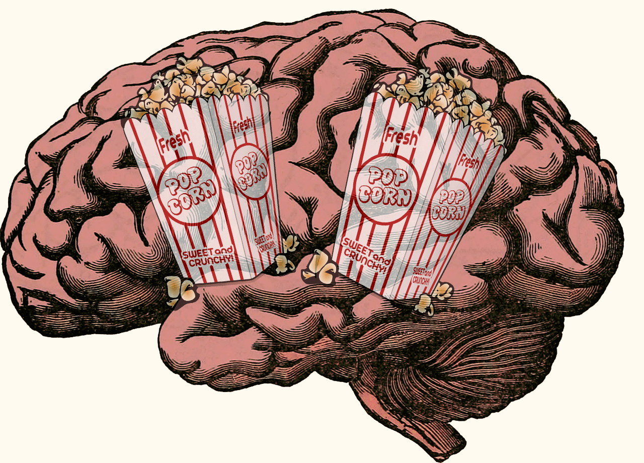 Попкорн. Попкорн мозг. Попкорновые мозги. Вместо мозга попкорн.