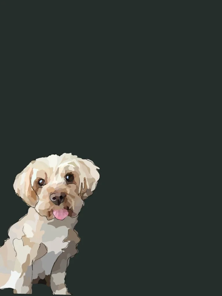 Untitled_Artwork 4 copy 4.jpg