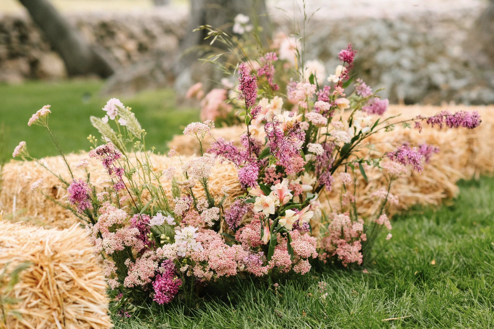 Screenshot 2024-08-27 at 9.20.42 AM.png